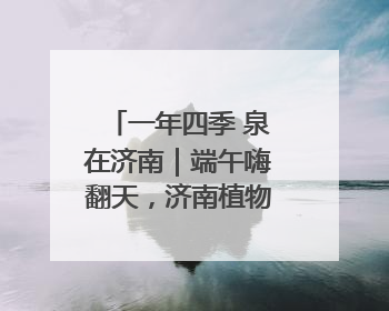 一年四季 泉在济南｜端午嗨翻天，济南植物园成亲子户外热门打卡地
