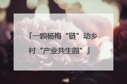 一颗杨梅“链”动乡村“产业共生圈”