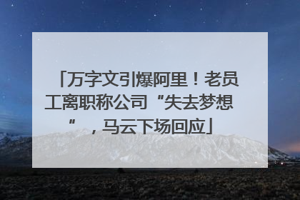 万字文引爆阿里！老员工离职称公司“失去梦想”，马云下场回应