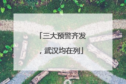 三大预警齐发，武汉均在列