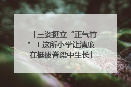 三姿挺立“正气竹”！这所小学让清廉在挺拔脊梁中生长