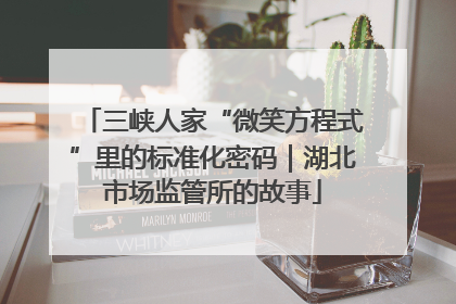三峡人家“微笑方程式”里的标准化密码｜湖北市场监管所的故事