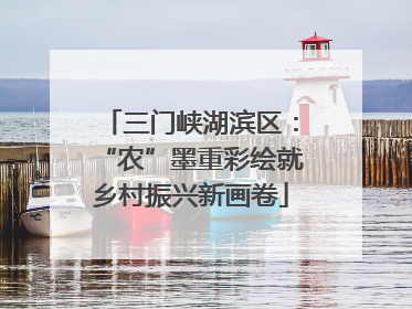 三门峡湖滨区：“农”墨重彩绘就乡村振兴新画卷