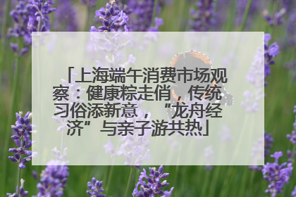 上海端午消费市场观察：健康粽走俏，传统习俗添新意，“龙舟经济”与亲子游共热
