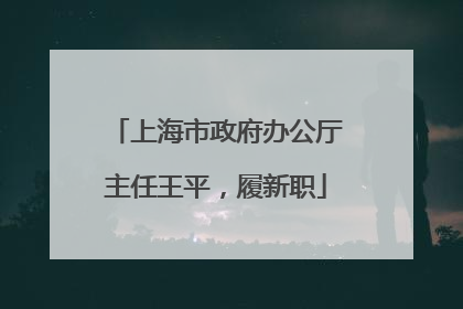 上海市政府办公厅主任王平，履新职