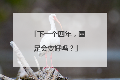 下一个四年，国足会变好吗？