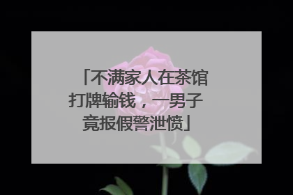 不满家人在茶馆打牌输钱，一男子竟报假警泄愤
