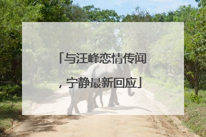 与汪峰恋情传闻，宁静最新回应