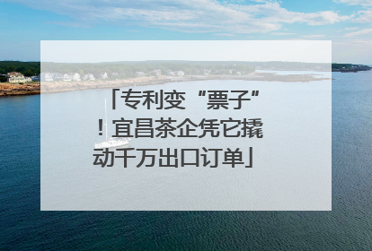 专利变“票子”！宜昌茶企凭它撬动千万出口订单