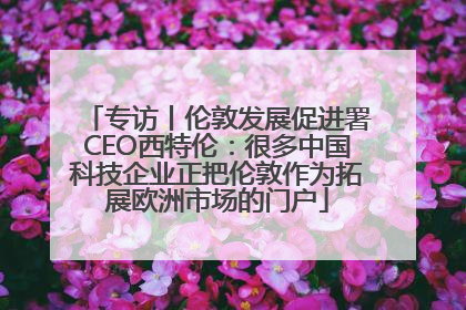 专访丨伦敦发展促进署CEO西特伦：很多中国科技企业正把伦敦作为拓展欧洲市场的门户