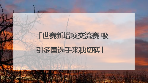 世赛新增项交流赛 吸引多国选手来穗切磋