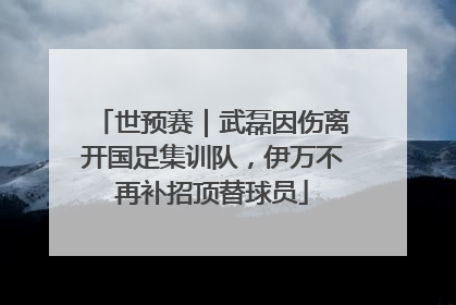 世预赛｜武磊因伤离开国足集训队，伊万不再补招顶替球员