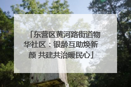 东营区黄河路街道物华社区：银龄互助焕新颜 共建共治暖民心