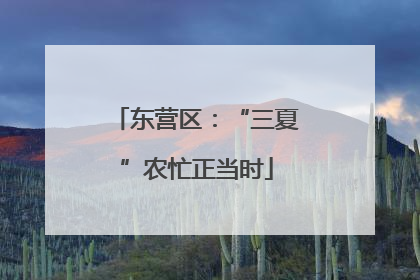 东营区：“三夏”农忙正当时