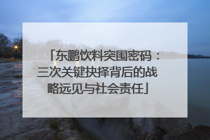 东鹏饮料突围密码：三次关键抉择背后的战略远见与社会责任