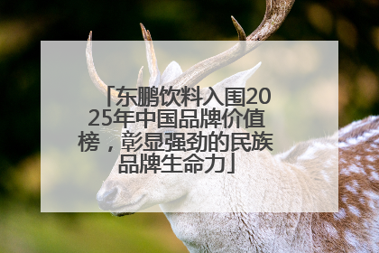 东鹏饮料入围2025年中国品牌价值榜，彰显强劲的民族品牌生命力