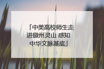 中美高校师生走进徽州灵山 感知中华文脉基底