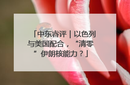 中东睿评｜以色列与美国配合，“清零”伊朗核能力？