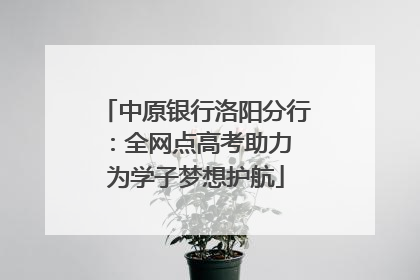 中原银行洛阳分行：全网点高考助力 为学子梦想护航