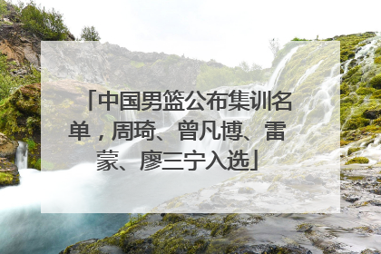 中国男篮公布集训名单，周琦、曾凡博、雷蒙、廖三宁入选