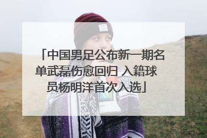 中国男足公布新一期名单武磊伤愈回归 入籍球员杨明洋首次入选