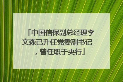 中国信保副总经理李文森已升任党委副书记，曾任职于央行