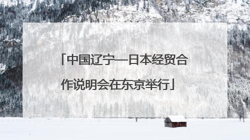 中国辽宁—日本经贸合作说明会在东京举行