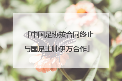 中国足协按合同终止与国足主帅伊万合作