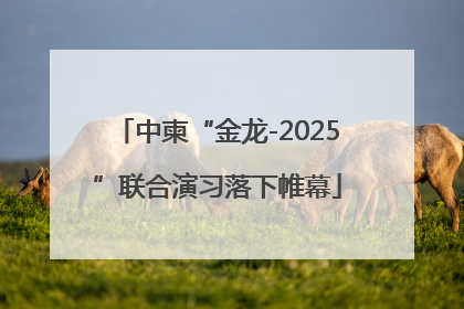 中柬“金龙-2025”联合演习落下帷幕