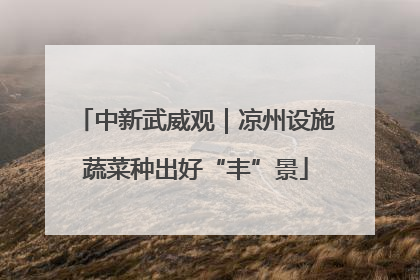 中新武威观｜凉州设施蔬菜种出好“丰”景