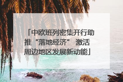 中欧班列密集开行助推“落地经济” 激活周边地区发展新动能