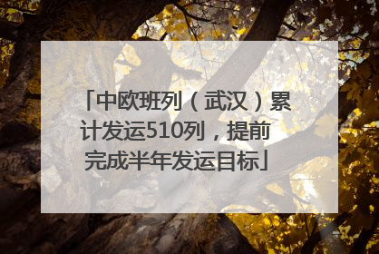 中欧班列（武汉）累计发运510列，提前完成半年发运目标