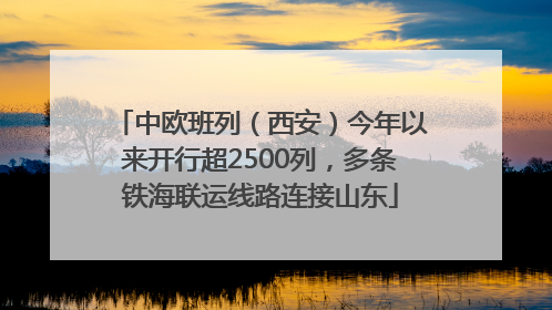 中欧班列（西安）今年以来开行超2500列，多条铁海联运线路连接山东