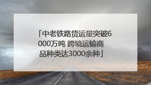 中老铁路货运量突破6000万吨 跨境运输商品种类达3000余种