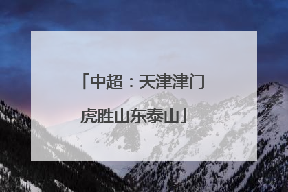 中超：天津津门虎胜山东泰山
