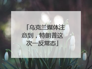 乌克兰媒体注意到，特朗普这次一反常态