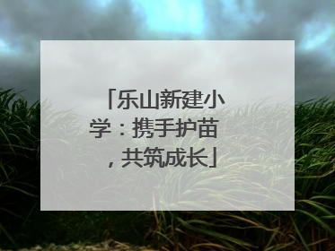 乐山新建小学：携手护苗，共筑成长