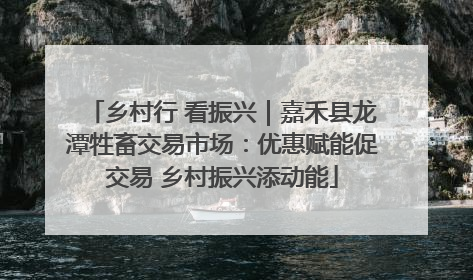 乡村行 看振兴｜嘉禾县龙潭牲畜交易市场：优惠赋能促交易 乡村振兴添动能