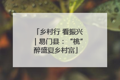 乡村行 看振兴｜易门县：“桃”醉盛夏乡村富