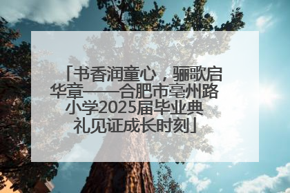 书香润童心，骊歌启华章——合肥市亳州路小学2025届毕业典礼见证成长时刻
