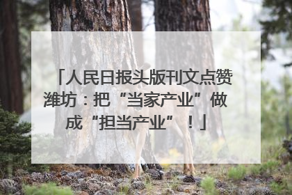 人民日报头版刊文点赞潍坊：把“当家产业”做成“担当产业”！