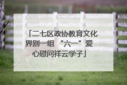 二七区政协教育文化界别一组 “六一”爱心慰问祥云学子
