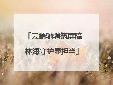云端驰骋筑屏障 林海守护显担当