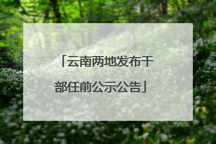 云南两地发布干部任前公示公告