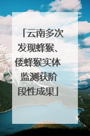 云南多次发现蜂猴、倭蜂猴实体 监测获阶段性成果