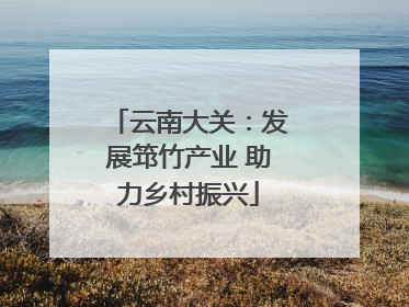 云南大关：发展筇竹产业 助力乡村振兴