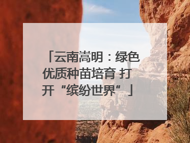 云南嵩明：绿色优质种苗培育 打开“缤纷世界”