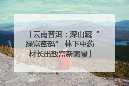 云南普洱：深山藏“绿富密码” 林下中药材长出致富新图景