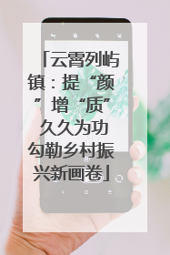 云霄列屿镇：提“颜”增“质” 久久为功勾勒乡村振兴新画卷