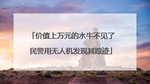 价值上万元的水牛不见了 民警用无人机发现其踪迹